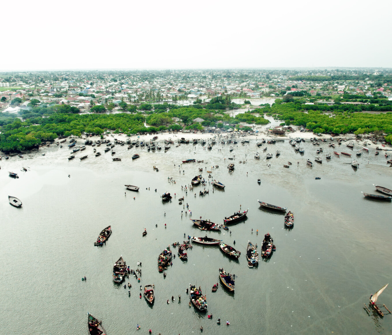 aerial view of